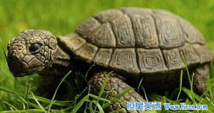 ӢĸŮ���ľ����ڹ� �����й������մ�Ʒ