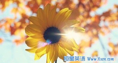 뿼ʮ󾭵