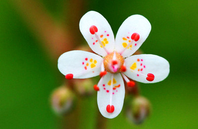 �����ر���Լ� Be Yourself And Stay Unique