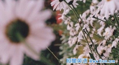 9�ַ�ʽ������Լ���һ��