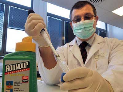 ���о���ʳ��ת�������׻��°�