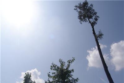 ���쳤����ô��?��������������