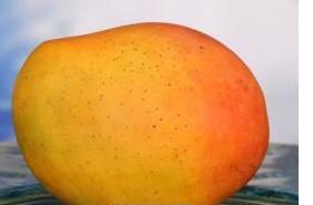 �ܼ�֬�����������ˮ��