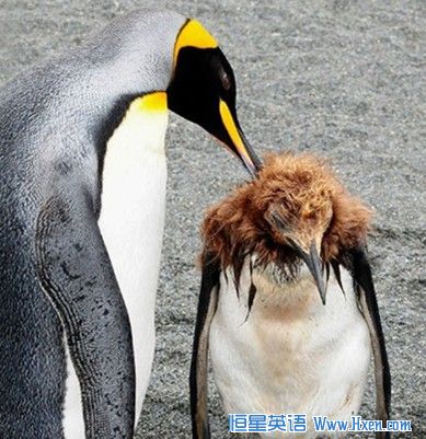 ��С�Ӹ�ȥ��������