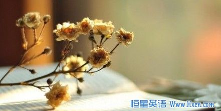 Ӣ��������ϰ�ƻ�