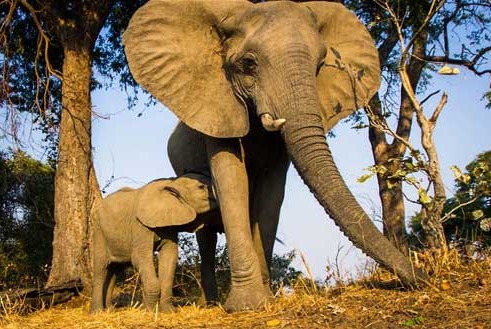 �о��ƴ�����4���Ը� ����Ұ������