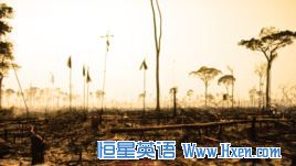 Billions of Dollars Lost Each Year to Illegal Logging