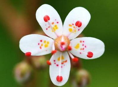 �����ر���Լ�Be Yourself And Stay Unique