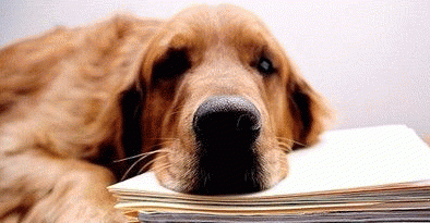 �������ϰ�ɼ��Ṥ��ѹ��?