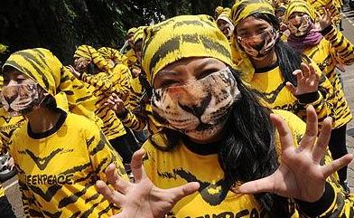 NGO��֯ ���ְ����ѡ��