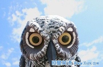 ��ͬ��ʽ��Ч�ʵۣ�������������ҹè�ӣ�