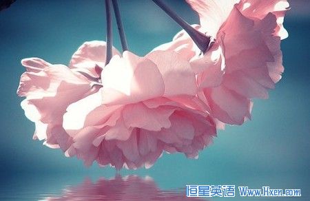 ���ͻ����˼�Ķ��ʻ��