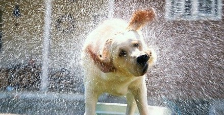 �����˵�Ը���嵥��������һ��Ҫ����50����