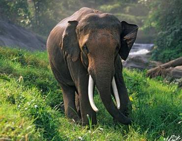 ����ʺ����