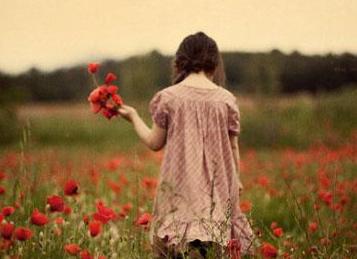 ʮ�侭������ֵ�����