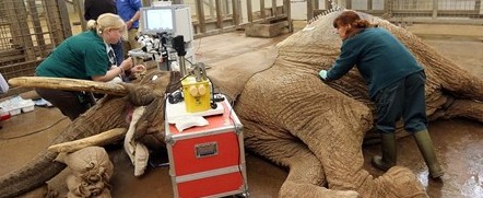 Ӣ�������ϴ��������ؼ����� ���������ñ������۾�ȷ��