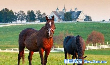 ��ѡ���Ǽٵģ����������