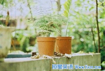 雅思听力考试特点与国内英语考试的区别