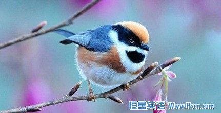 15��С��ʿ���������絽�����