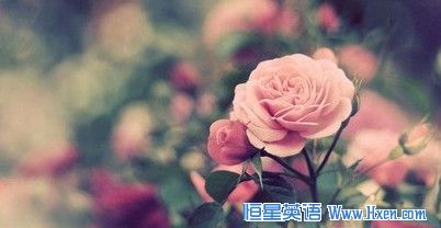 �����ܶ�����ܳ������˶���֪����ʮ��������ѧ