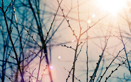 ����2012:2012�����Ƿ��µ�12������