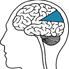 ����ֻʹ���˴��Ե�10%?