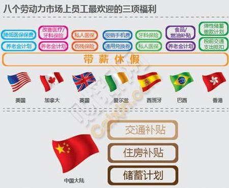 �������Щ��˾����?�������ݼ� ���˰�����