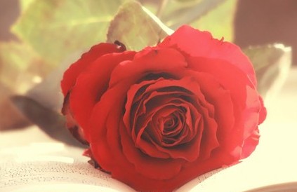 ���Ե����������ܸı���һ����10�仰