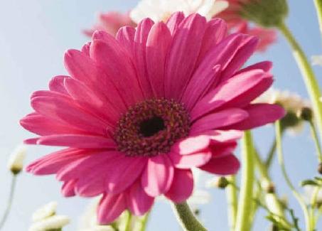 �߸�����ƻ� ��������һ����