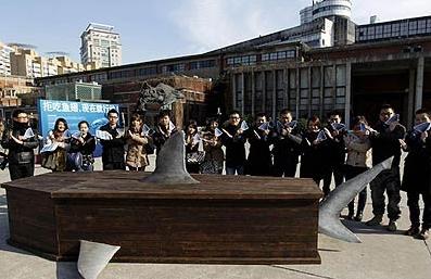 �Ǽ��Ƶ�׷���Ԯ����