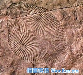 ½������Ҳ���������Ժ���