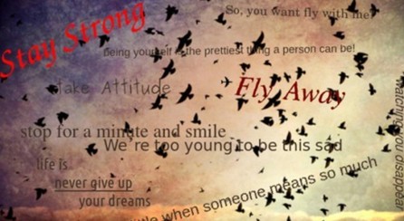 �㳤�������ж������������20�ֱ���