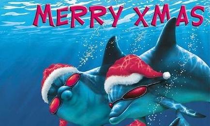 ������˽�ʥ������?