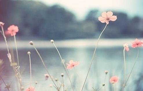 �ұ�������ʤ��:Ŭ���ĵ�·��û��ʧ����