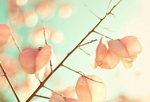 ϸ������С�Ҹ�:����������ʰ�����������