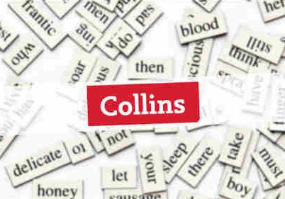 ����˹�ʵ���ȴʻ�