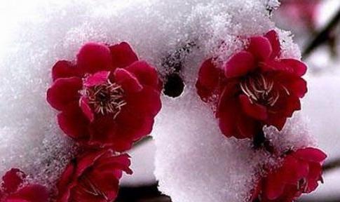 ����Ҫ<a href=http://www.hxen.com target=_blank class=infotextkey>ѧϰ</a>:�ᰮ���˲Ż�����