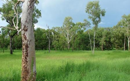 ������5�����Ե��������ʤ��