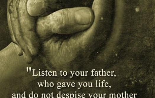 ������ϧ��ĸ�ĸ