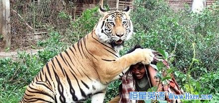 ӡ�����˰������� �������ϼ������������