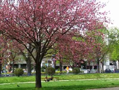 ȫ�����˾ӳ��� άҲ�ɲ�������