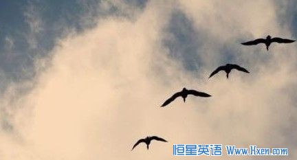 �����˷�����20����Ҫ���ɵ�20����ϰ��