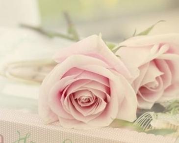 ���Լ���ѡ��:�����������õ�ʱ��