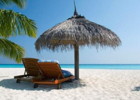 ����ȼ��������彡�� ����ɴ�����