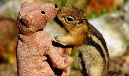 һ�����飺������͵�����̩���ܵ���˲��