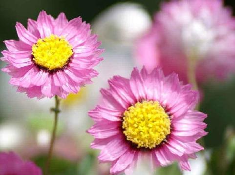 ����������ʴ̼�:������������20�ַ���