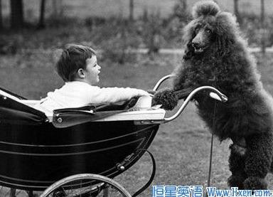 ѧ:빷 Human beings and dog