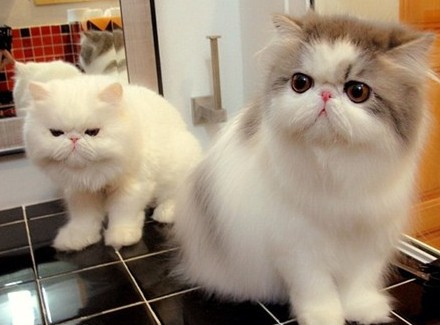 �쵽��������Ϊʲô����һ�������hold��ס