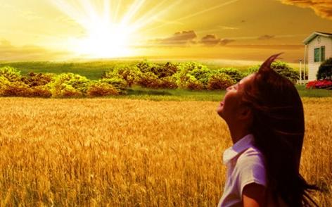 2013��һ��Ҫ�ĵ���5���ж�ϰ��