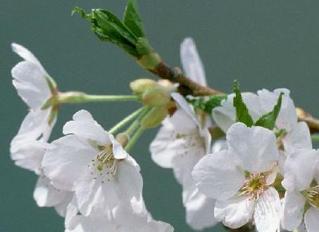 �������ʵ֮��:���Ƿ�����Ǹ�,�������벻��